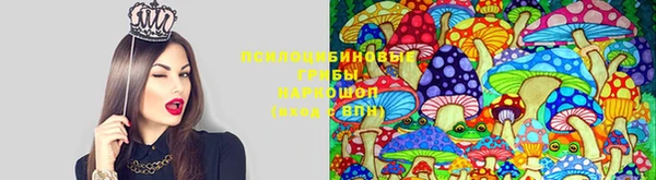 гашик Лиски