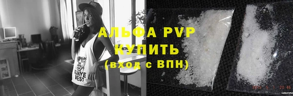 хмурый Липки