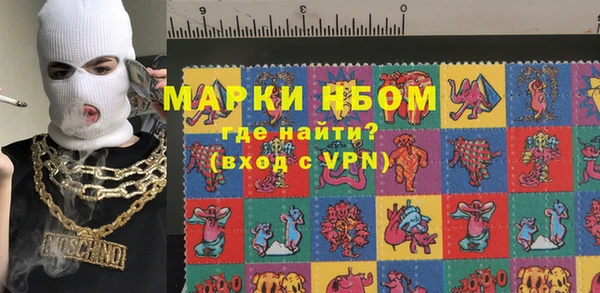 хмурый Липки