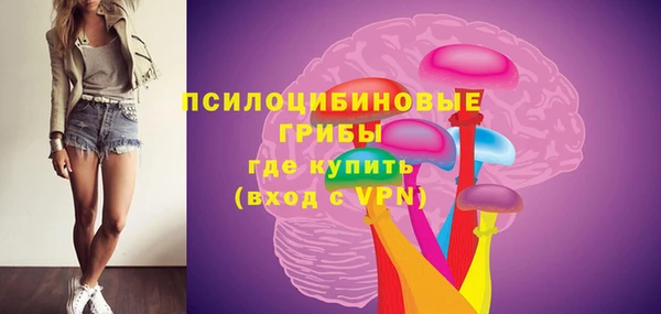 хмурый Липки