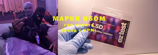 хмурый Липки