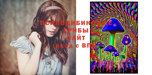 хмурый Липки