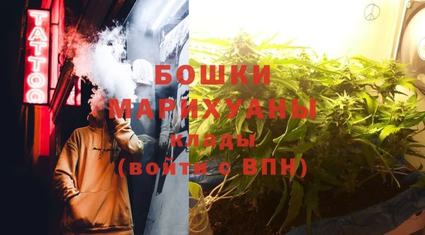 хмурый Липки