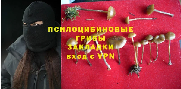 гашик Лиски